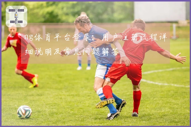ng体育平台登录：用户注册流程详细说明及常见问题解答