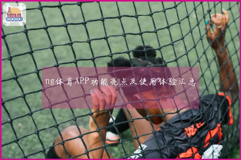 ng体育APP功能亮点及使用体验汇总