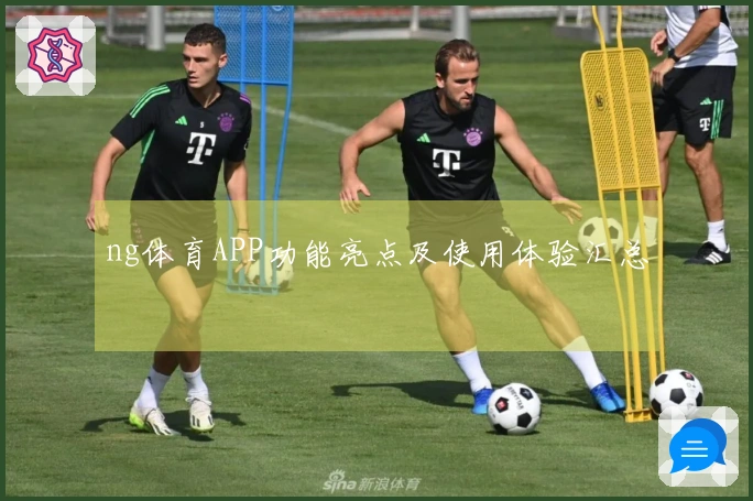 ng体育APP功能亮点及使用体验汇总