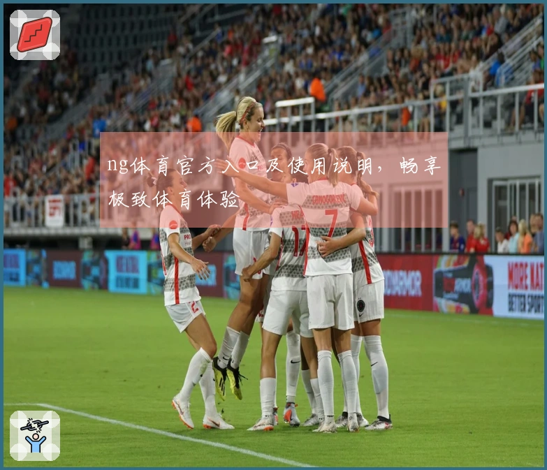 ng体育官方入口及使用说明，畅享极致体育体验