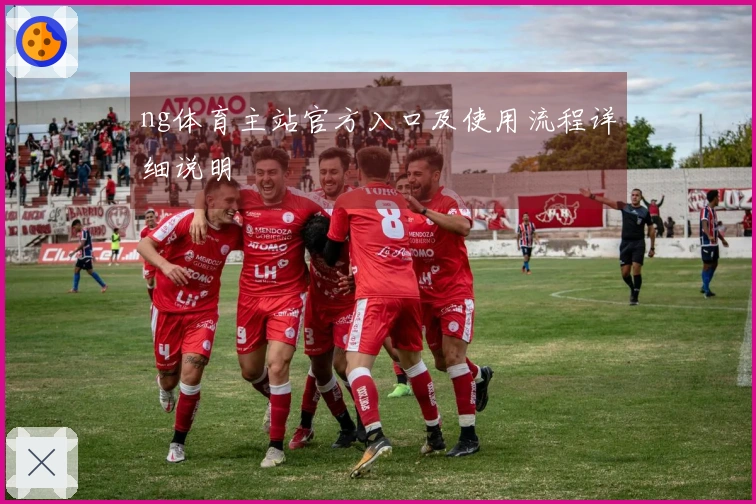 ng体育主站官方入口及使用流程详细说明
