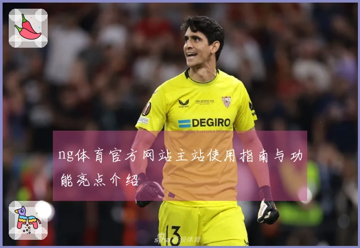ng体育官方网站主站使用指南与功能亮点介绍