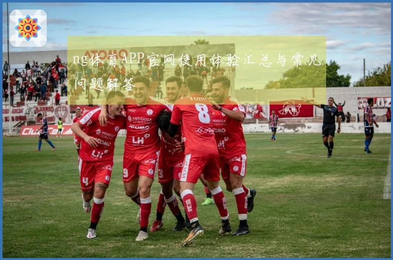 ng体育APP官网使用体验汇总与常见问题解答